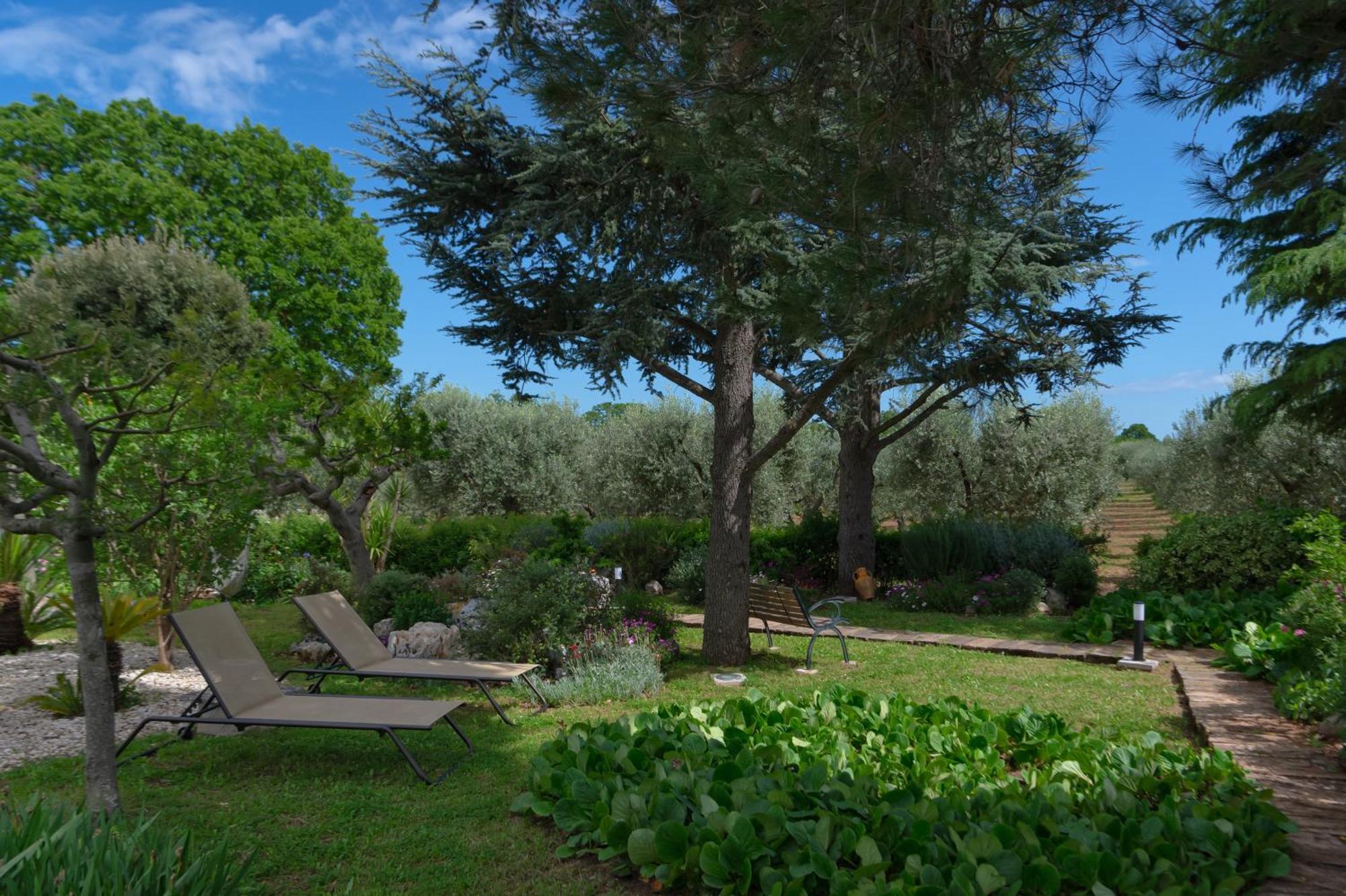 Agriturismo Masseria Aprile Locorotondo Buitenkant foto