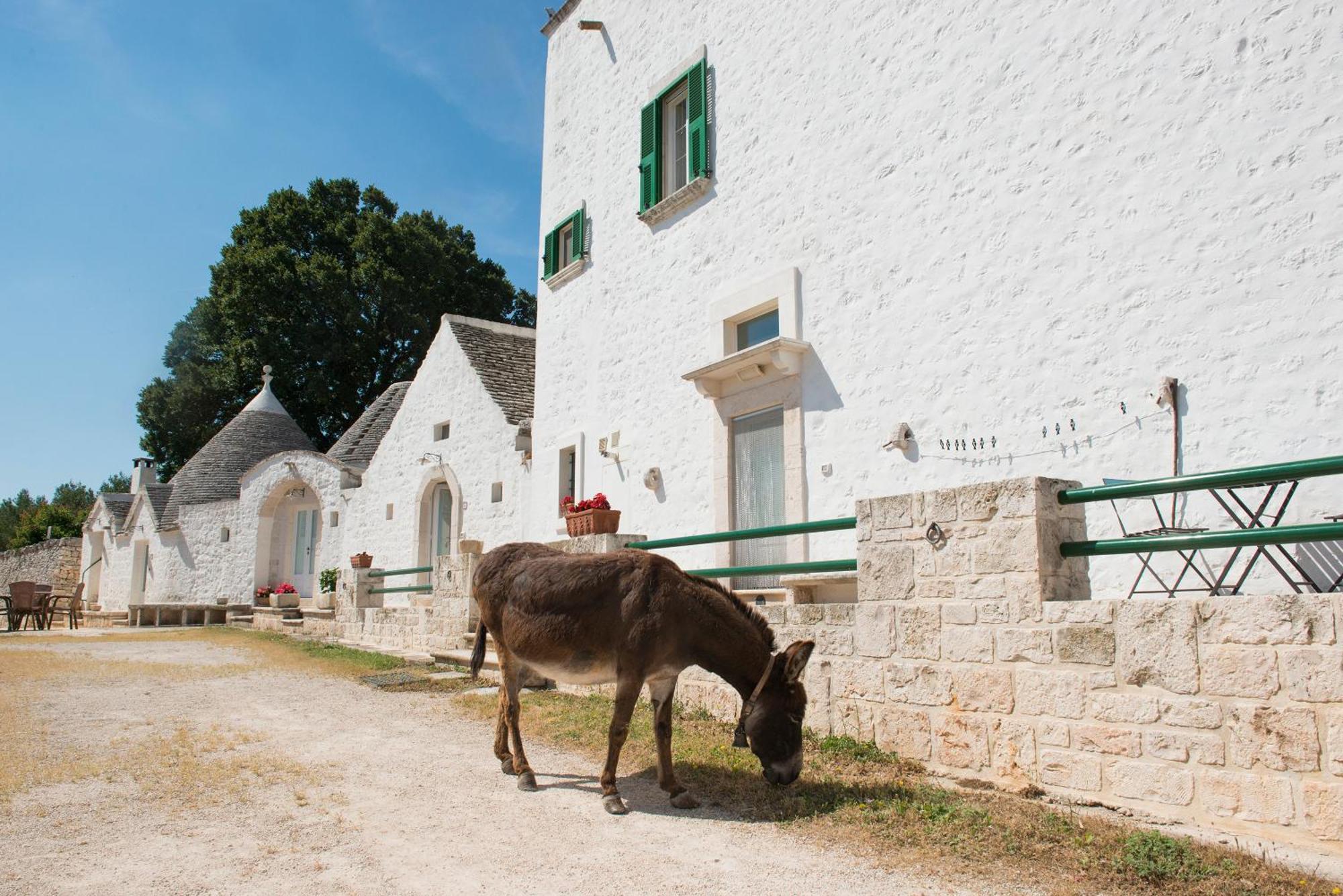 Agriturismo Masseria Aprile Locorotondo Buitenkant foto